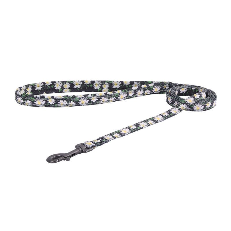 Pasji set Dogness: oprsnica in povodec (Daisy Black) 3