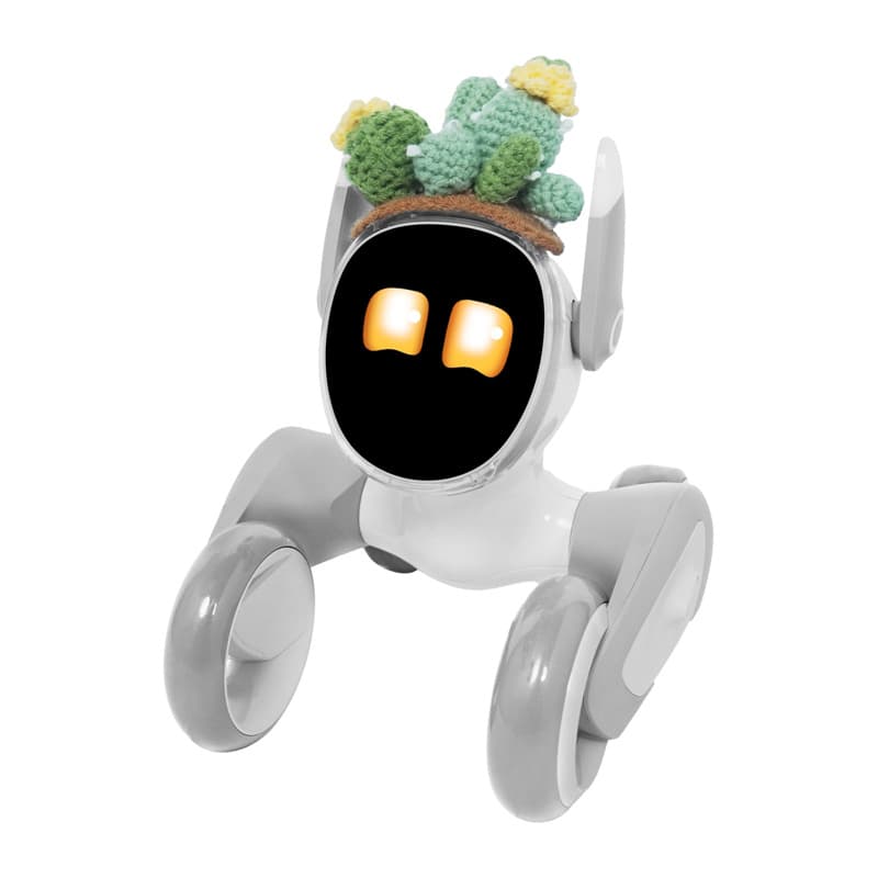 Pletena obleka Loona Premium Kaktus 2