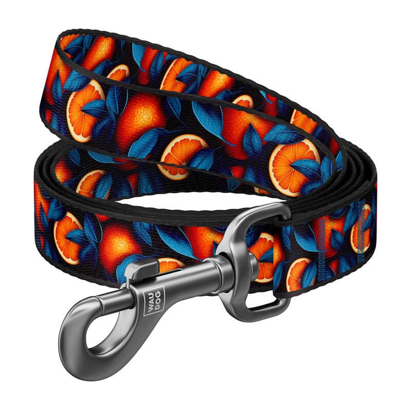 Nylon povodec za pse WAUDOG, vzorec "Oranže", dolžina 122 cm