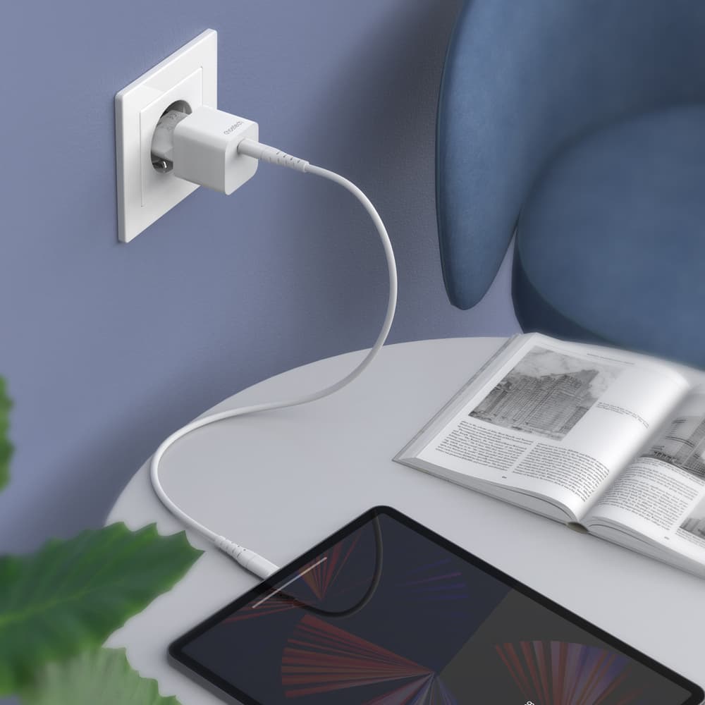 Polnilnik Choetech 20W USB Type C 6