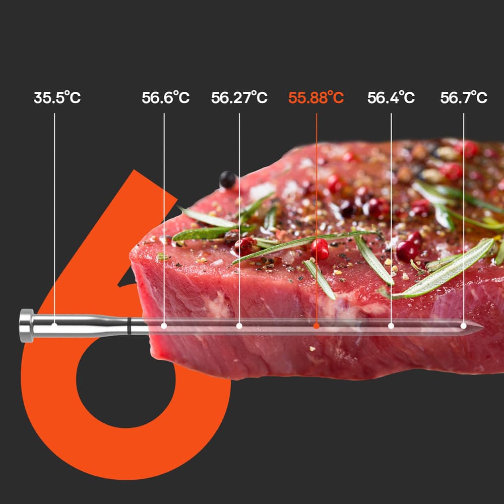 Meatmeet S Pro kuhinjski termometer z Bluetooth app, žar, pečica, smoker - siv 3