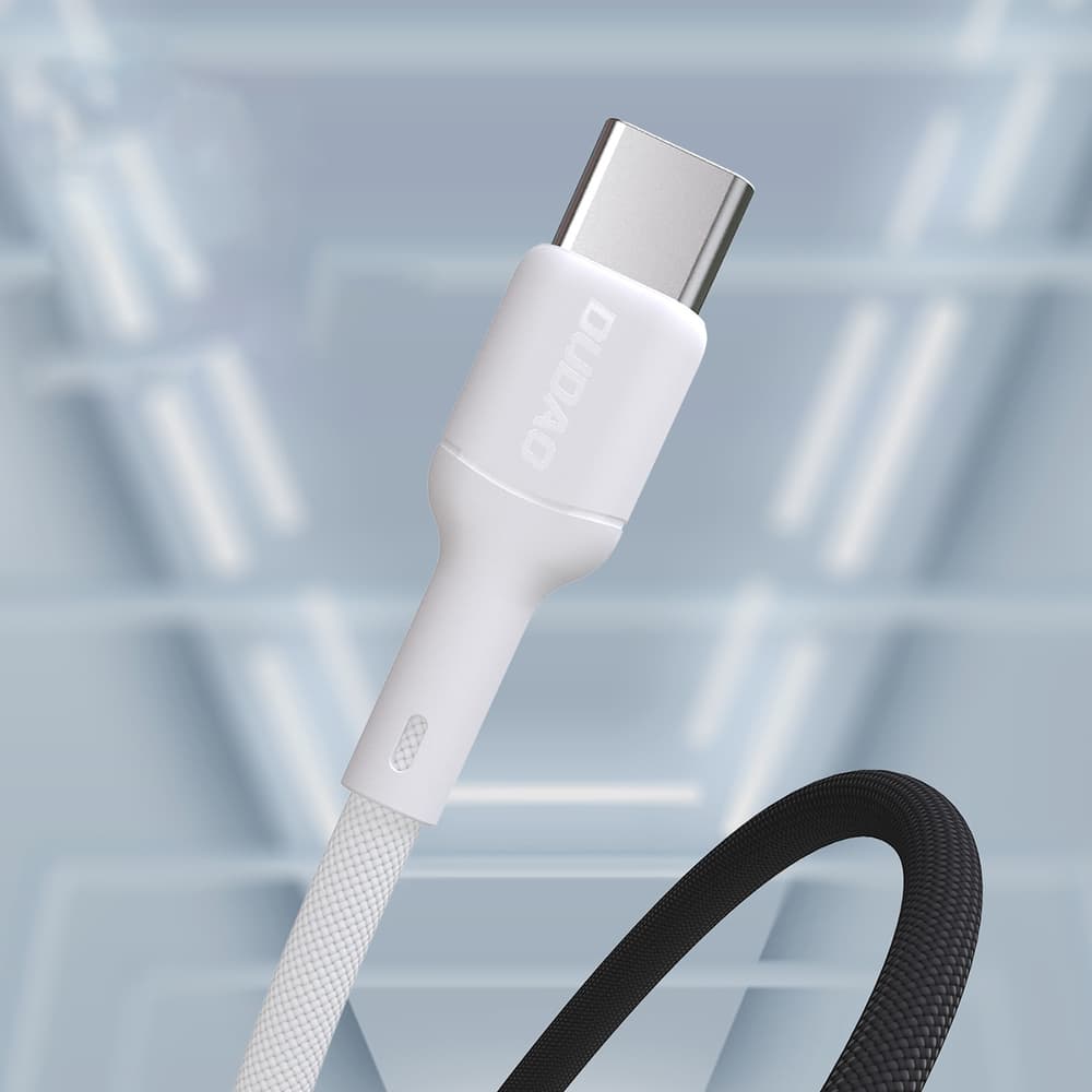 Dudao L9C USB-C - USB-C Kabel 2m, 65W, Bel 4