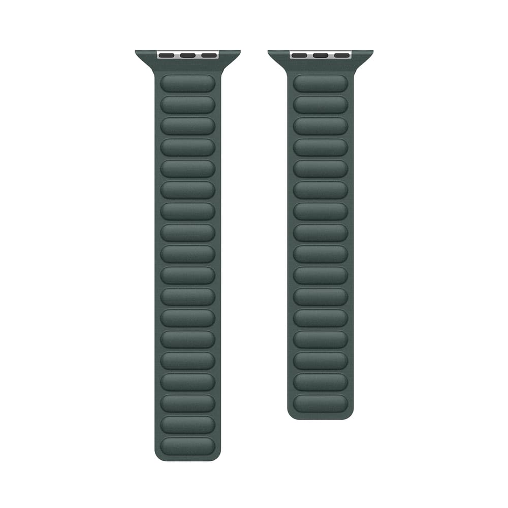 Dux Ducis Strap BL magnetni pašček za Apple Watch 38/40/41 mm, zelen 3
