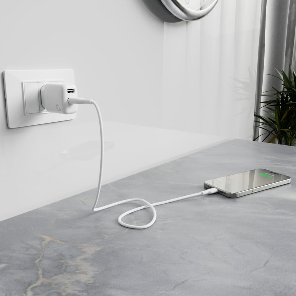 Puro PROLITE 10W stenski polnilnik, 2xUSB-A + kabel USB-A/USB-C 1.2m, bel 8