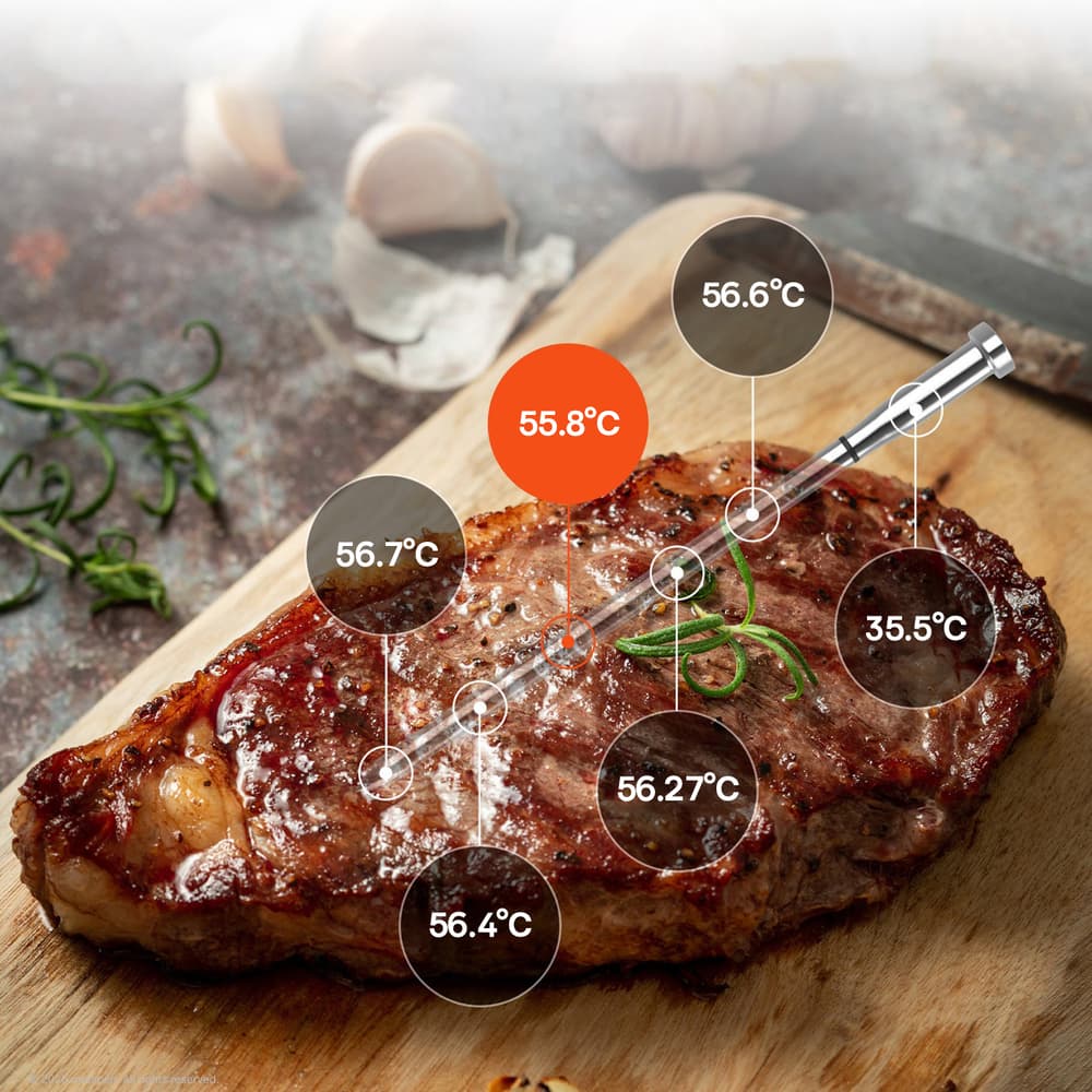 Meatmeet S Pro kuhinjski termometer z Bluetooth app, žar, pečica, smoker - siv 6