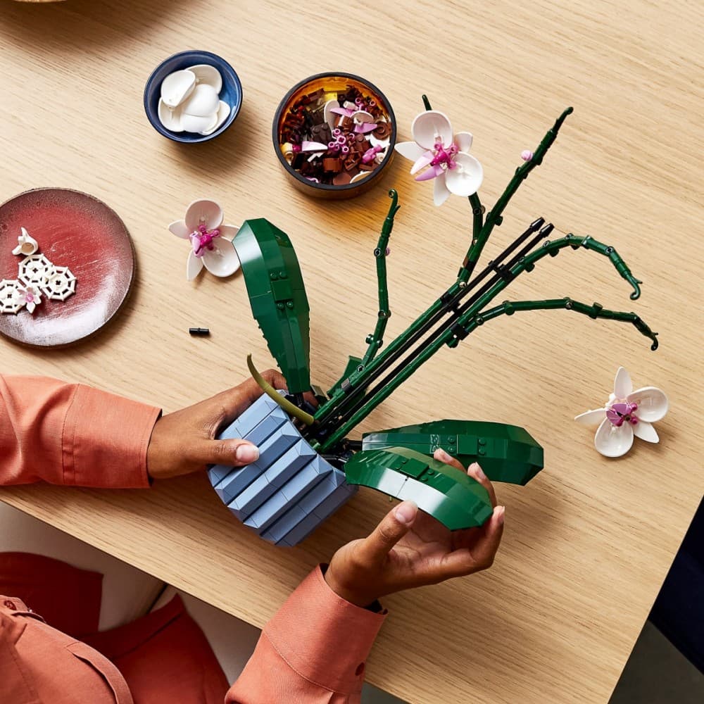 LEGO Botanical Collection: Orchidea (10311) 3