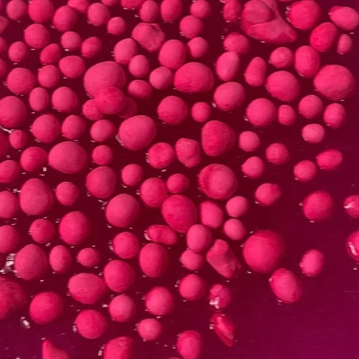 TUBAN Komplet Slime DIY Magic Pink XL 2