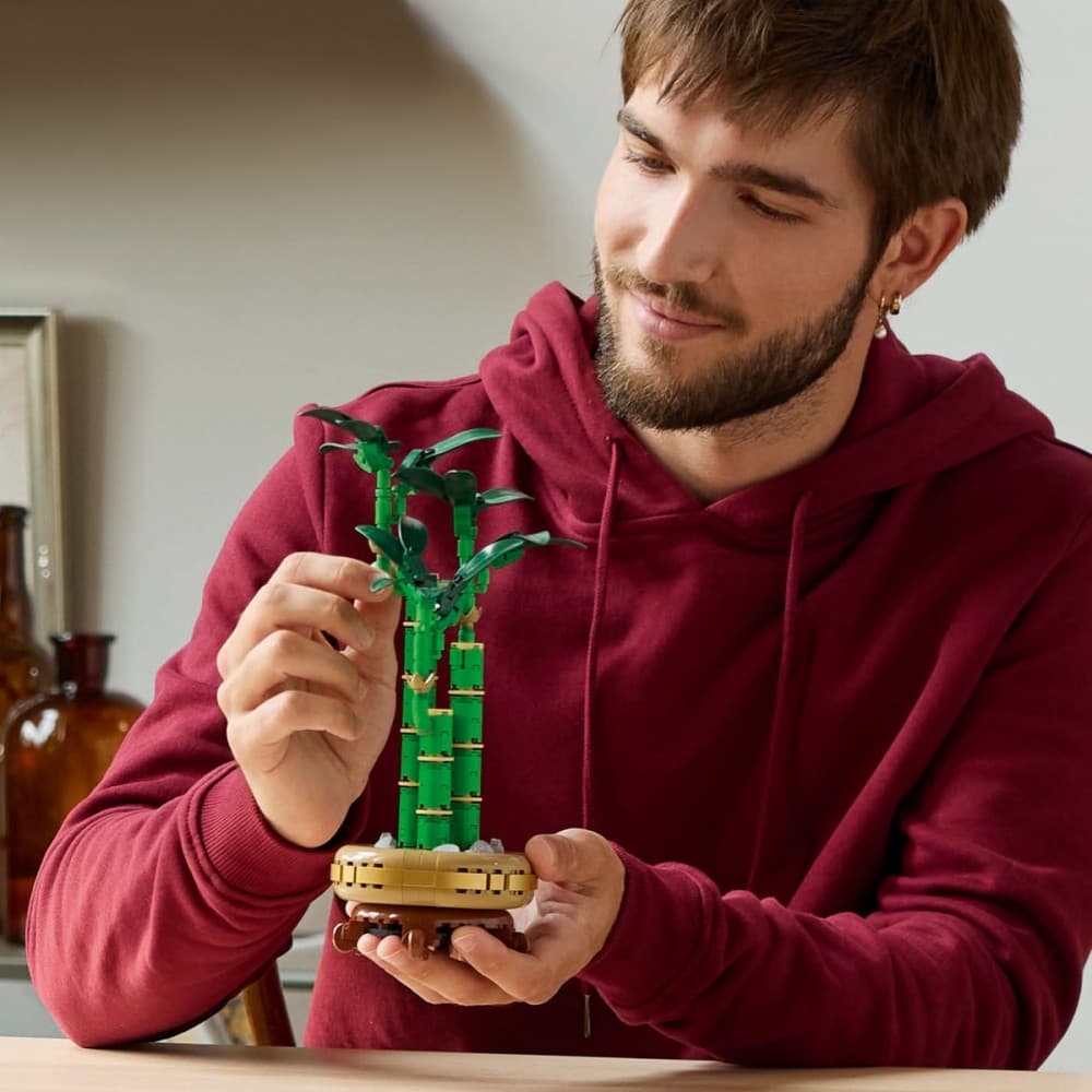 LEGO® Icons 10344 Dracaena sanderiana 6
