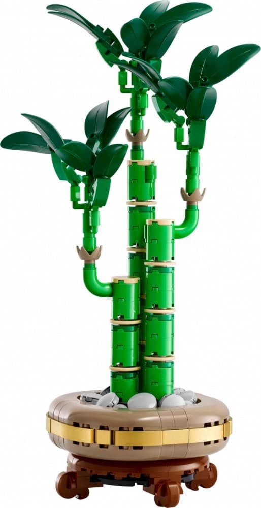 LEGO® Icons 10344 Dracaena sanderiana 8
