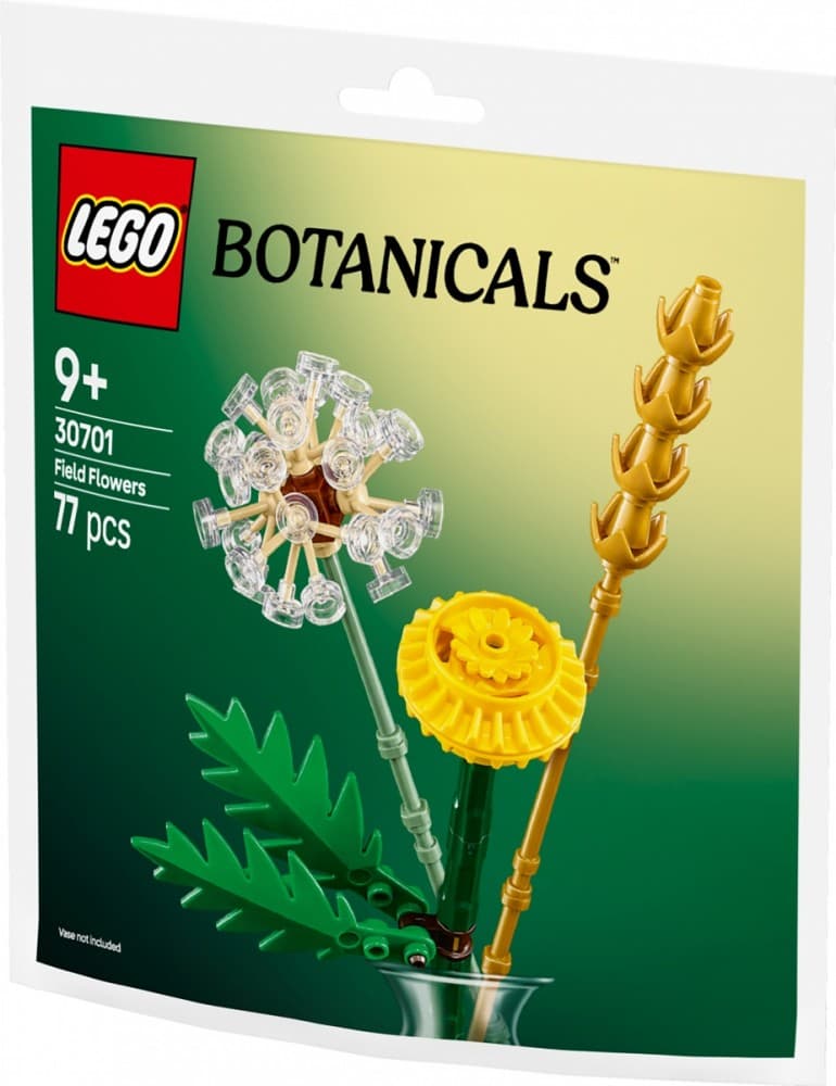 LEGO Botanicals 30701 Cvetni poljski šopek 2