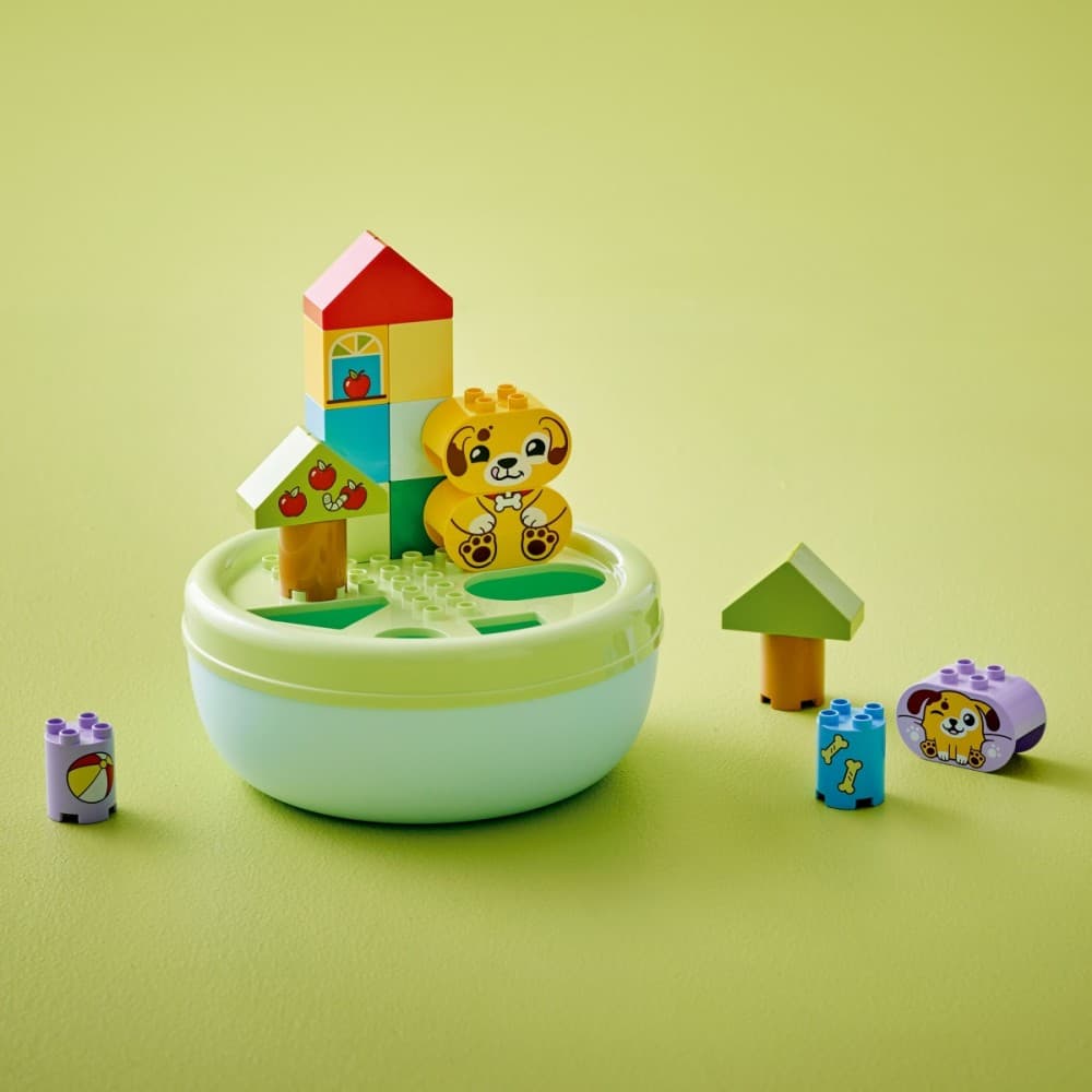 LEGO DUPLO Sorter oblikov: hiška kužka 6