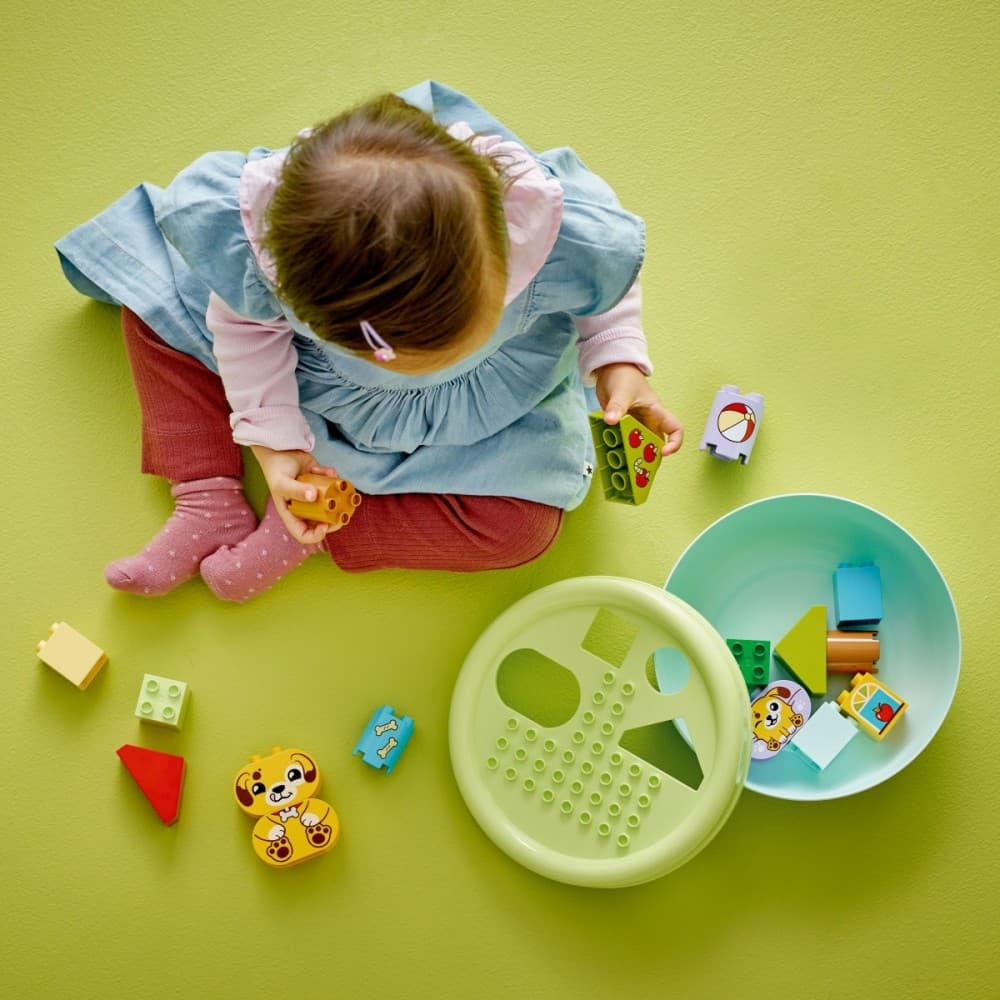 LEGO DUPLO Sorter oblikov: hiška kužka 8