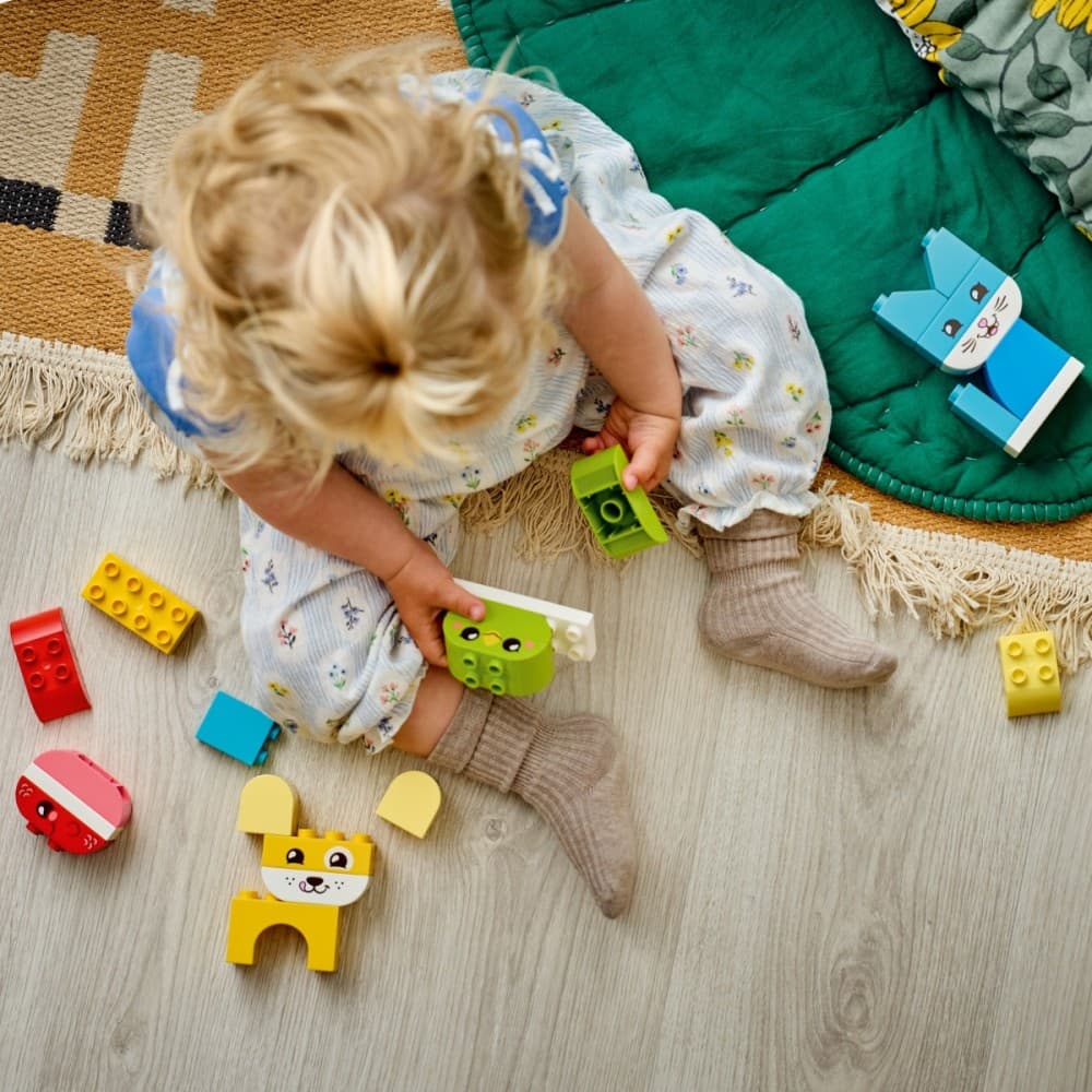 LEGO DUPLO 10477 Ustvarjalne živali 3 v 1 6