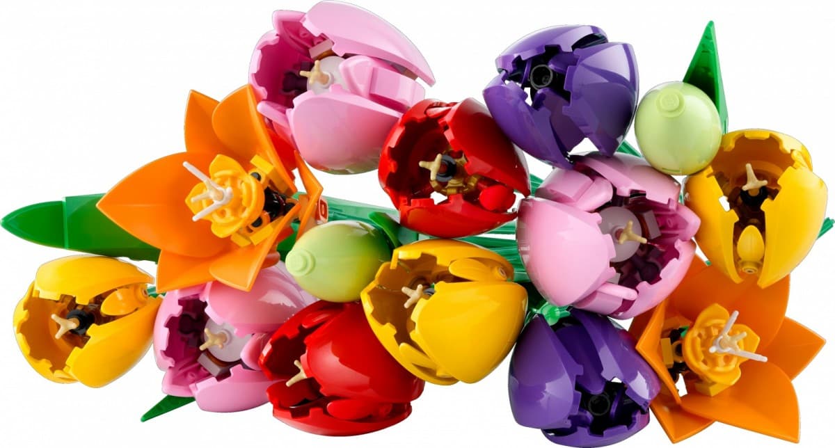 LEGO Botanicals Buket tulipanov 11501 8