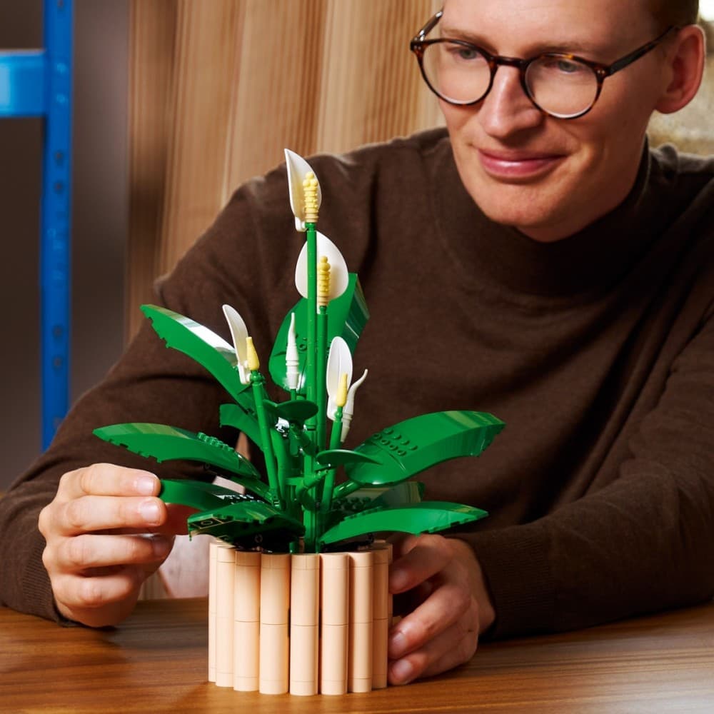 LEGO Botanicals Skrzydłokwiat 11504 3