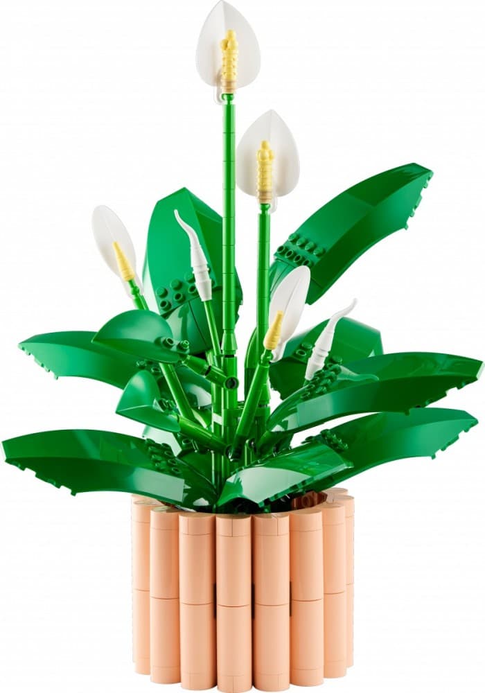 LEGO Botanicals Skrzydłokwiat 11504 5