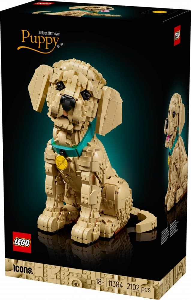 LEGO Icons Szczeniak golden retriever 11384 2