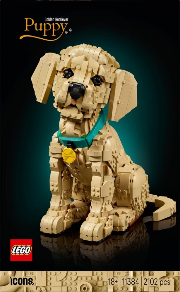 LEGO Icons Szczeniak golden retriever 11384 3