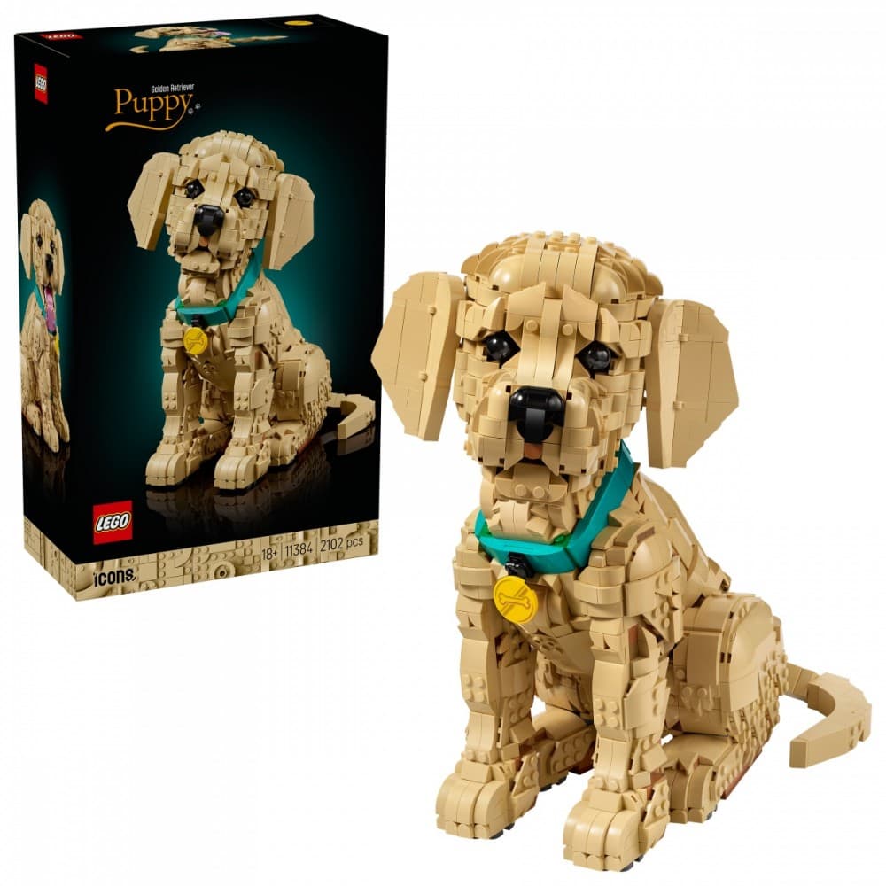 LEGO Icons Szczeniak golden retriever 11384 4