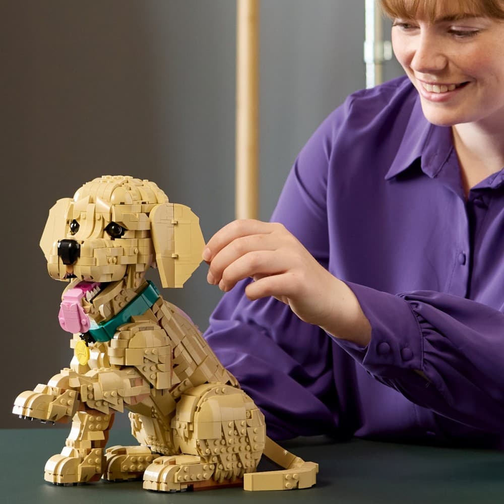 LEGO Icons Szczeniak golden retriever 11384 6