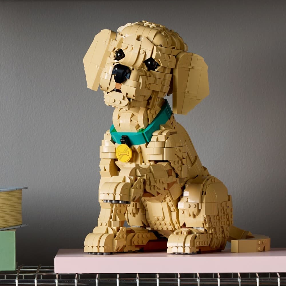 LEGO Icons Szczeniak golden retriever 11384 7