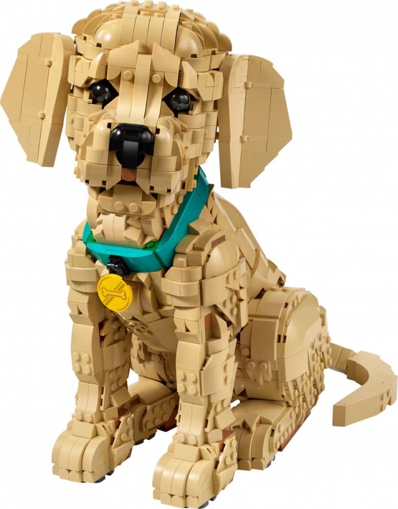 LEGO Icons Szczeniak golden retriever 11384 8