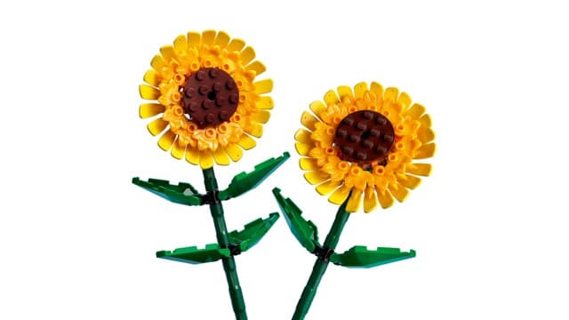 LEGO Botanicals Vodne cvetlice 40524 4