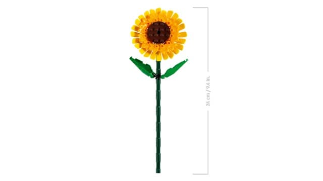LEGO Botanicals Vodne cvetlice 40524 5