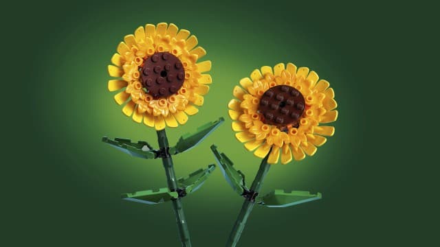 LEGO Botanicals Vodne cvetlice 40524 6
