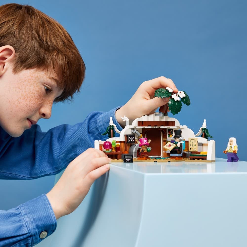 LEGO One Piece Doctor's Hut, 75641 7