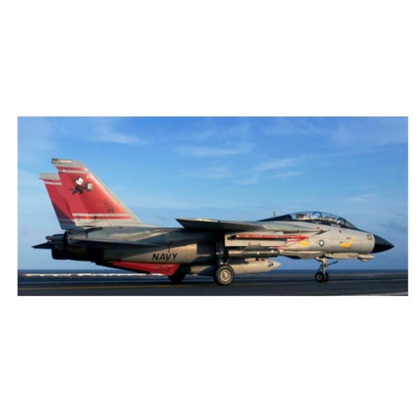 Model letala REVELL F-14D Super Tomcat, za lepljenje