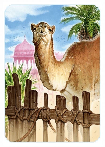 Namizna igra Jaipur (nova izdaja) 5