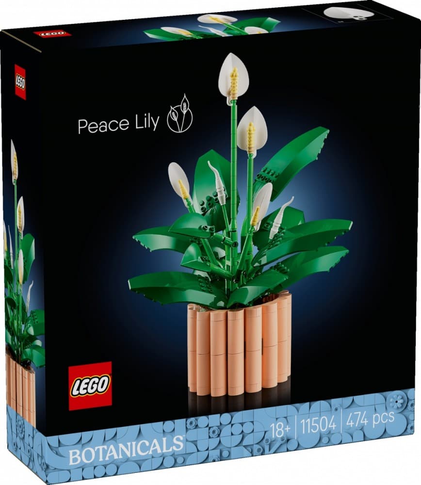 LEGO Botanicals Skrzydłokwiat 11504
