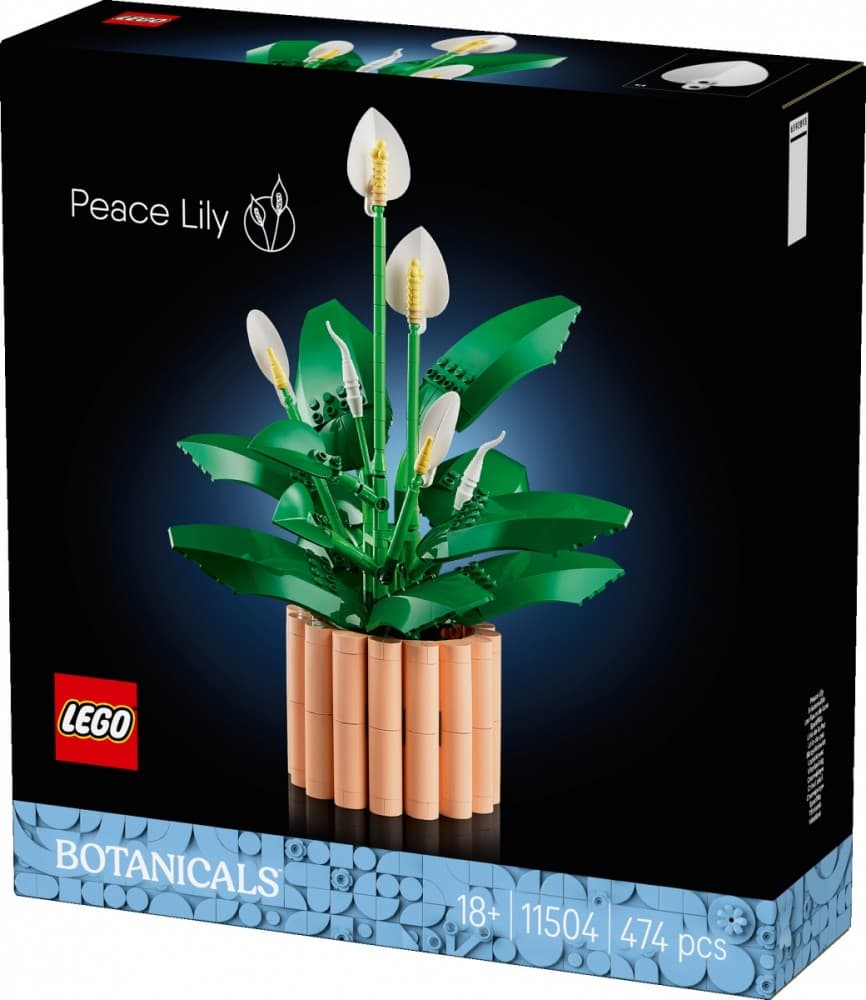LEGO Botanicals Skrzydłokwiat 11504 6