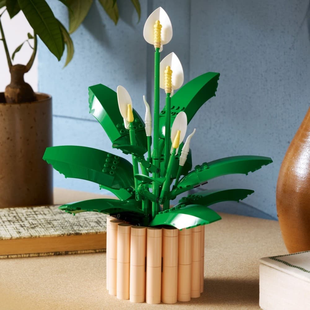 LEGO Botanicals Skrzydłokwiat 11504 8