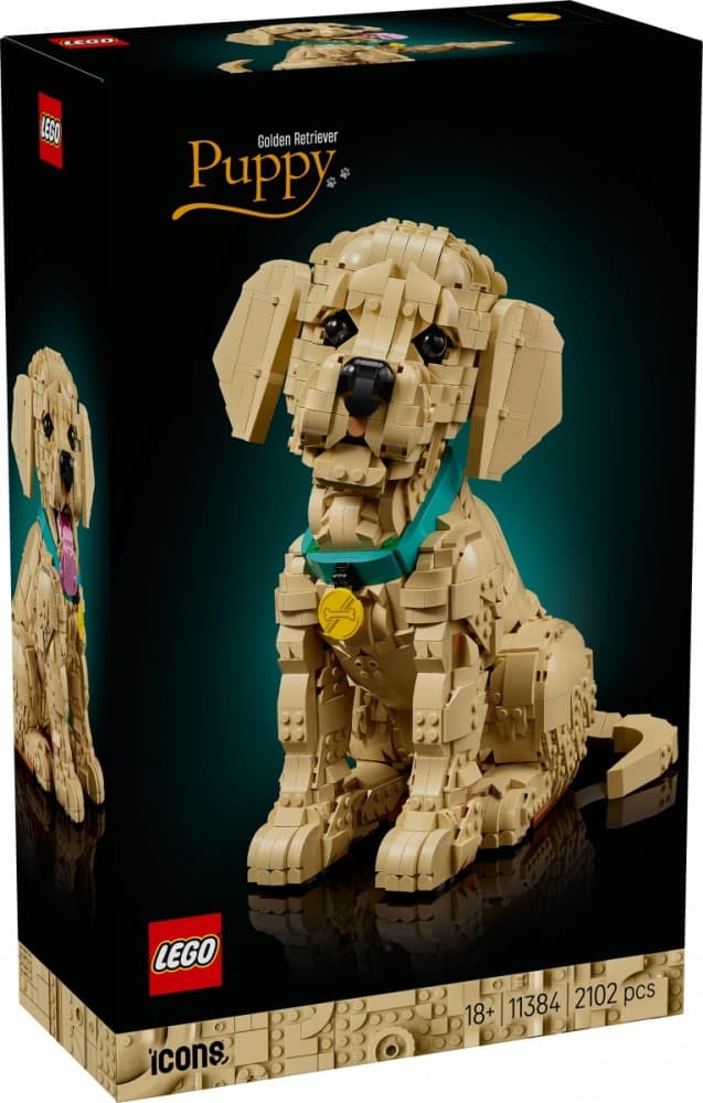 LEGO Icons Szczeniak golden retriever 11384