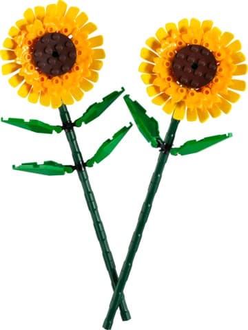 LEGO Botanicals Vodne cvetlice 40524 8