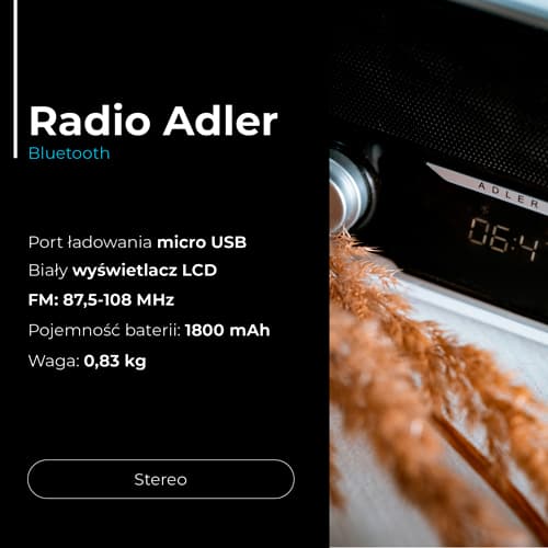 ADLER Bluetooth Radio, lesena ohišja, vgrajen akumulator 3