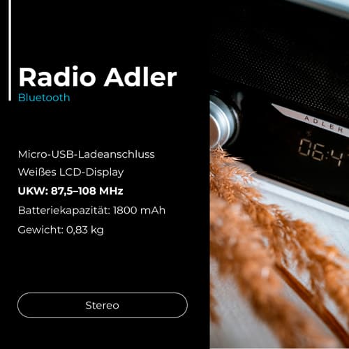 ADLER Bluetooth Radio, lesena ohišja, vgrajen akumulator 7