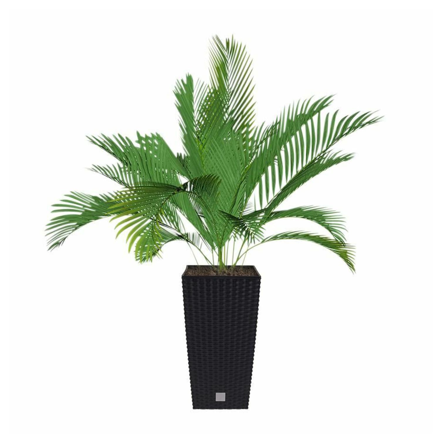 Dvolična cvetlična posoda Rato Square 22,5 cm, antracit 7