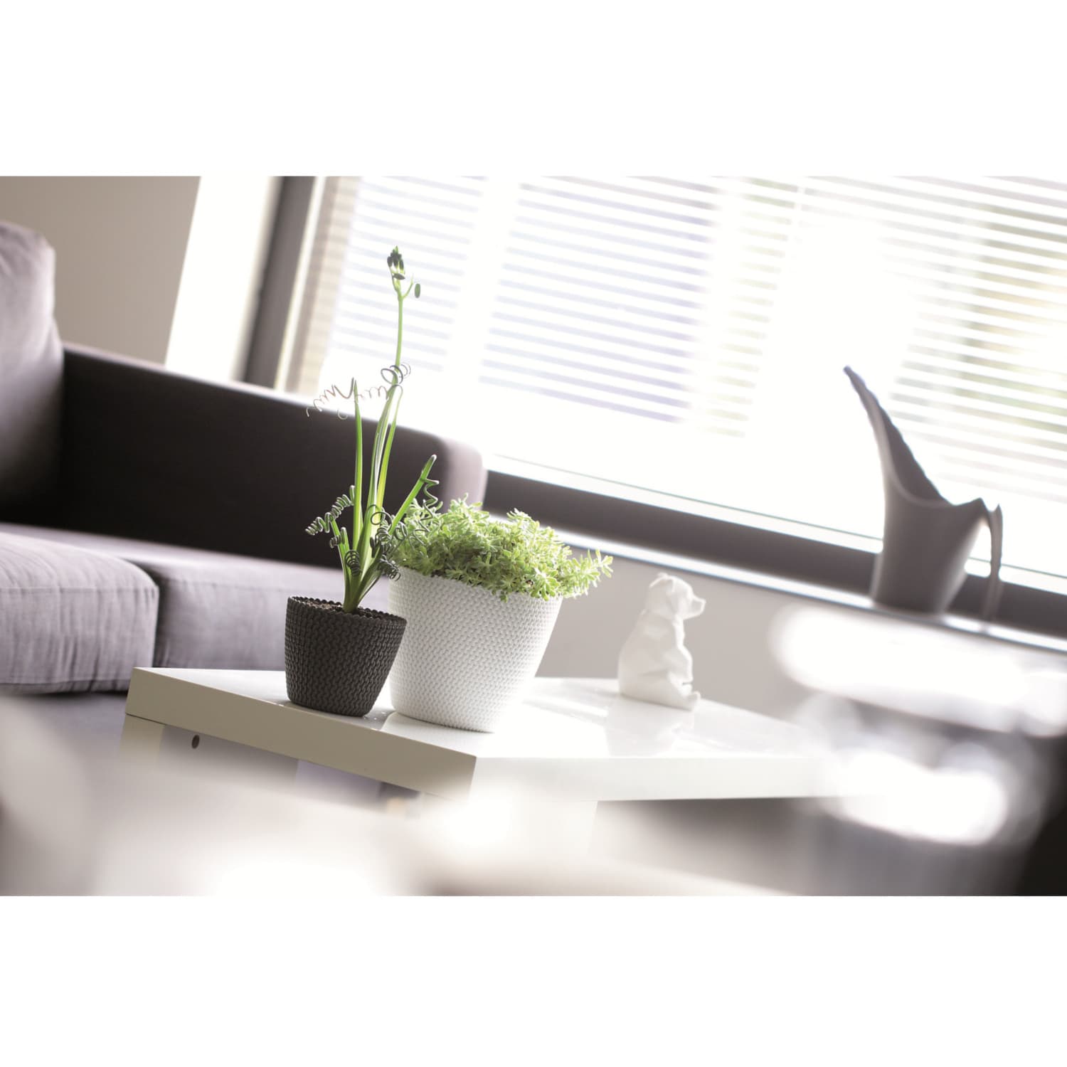 Prosperplast Lonček Splofy DSP260, 8L, breskev 3