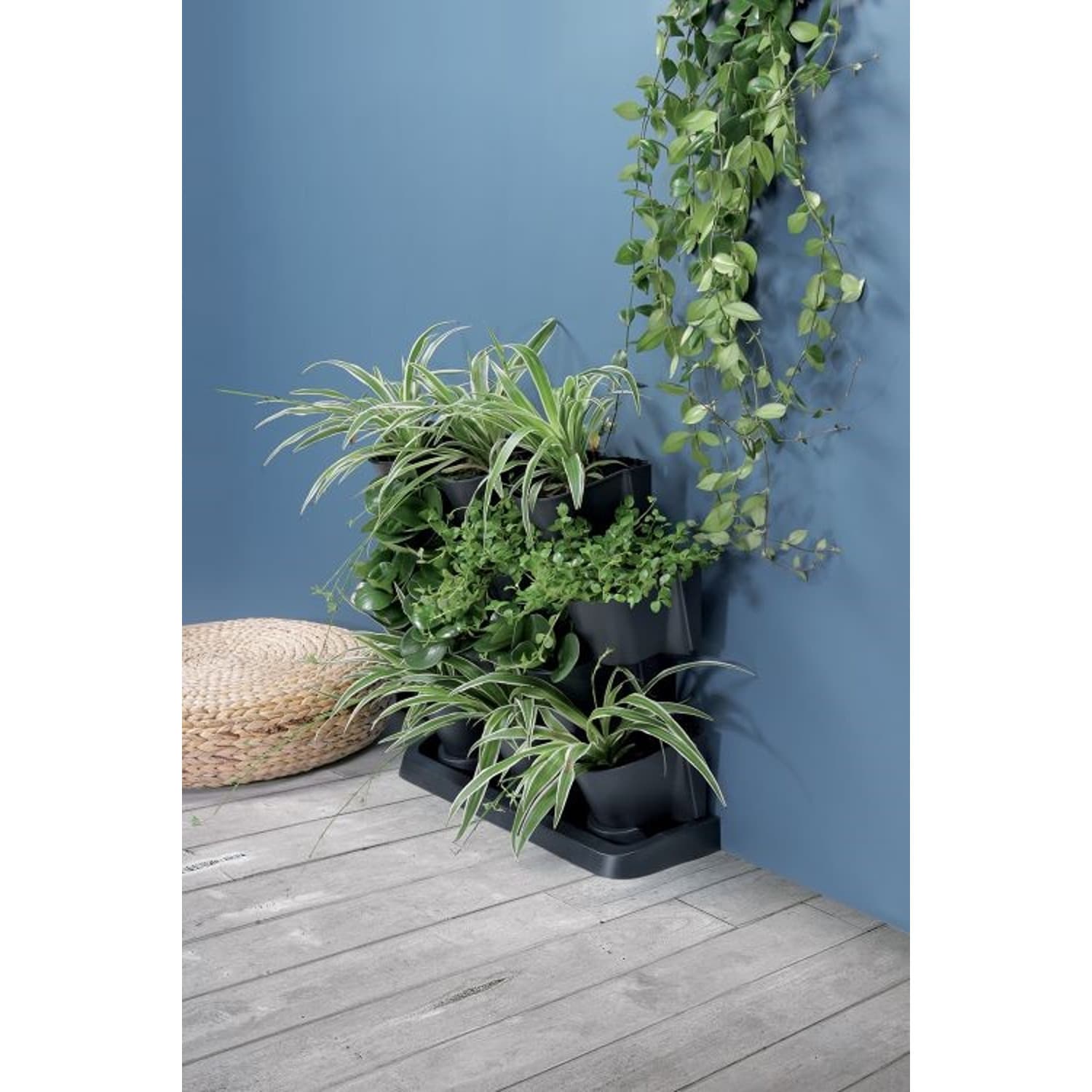 Vertikalni vrt "Cascade Garden" 68,5x54,6x19 cm antracit 4