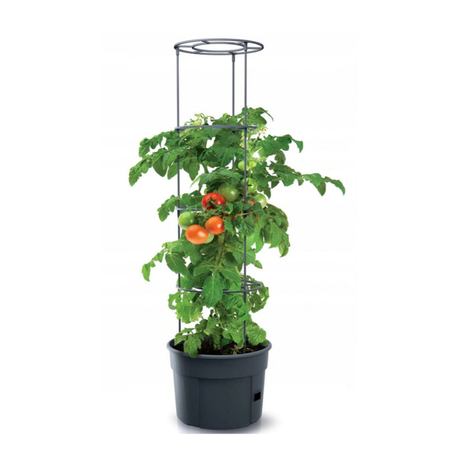 Lonček za paradižnik "Tomato Grower" Ø 29,5 cm, višina 115 cm