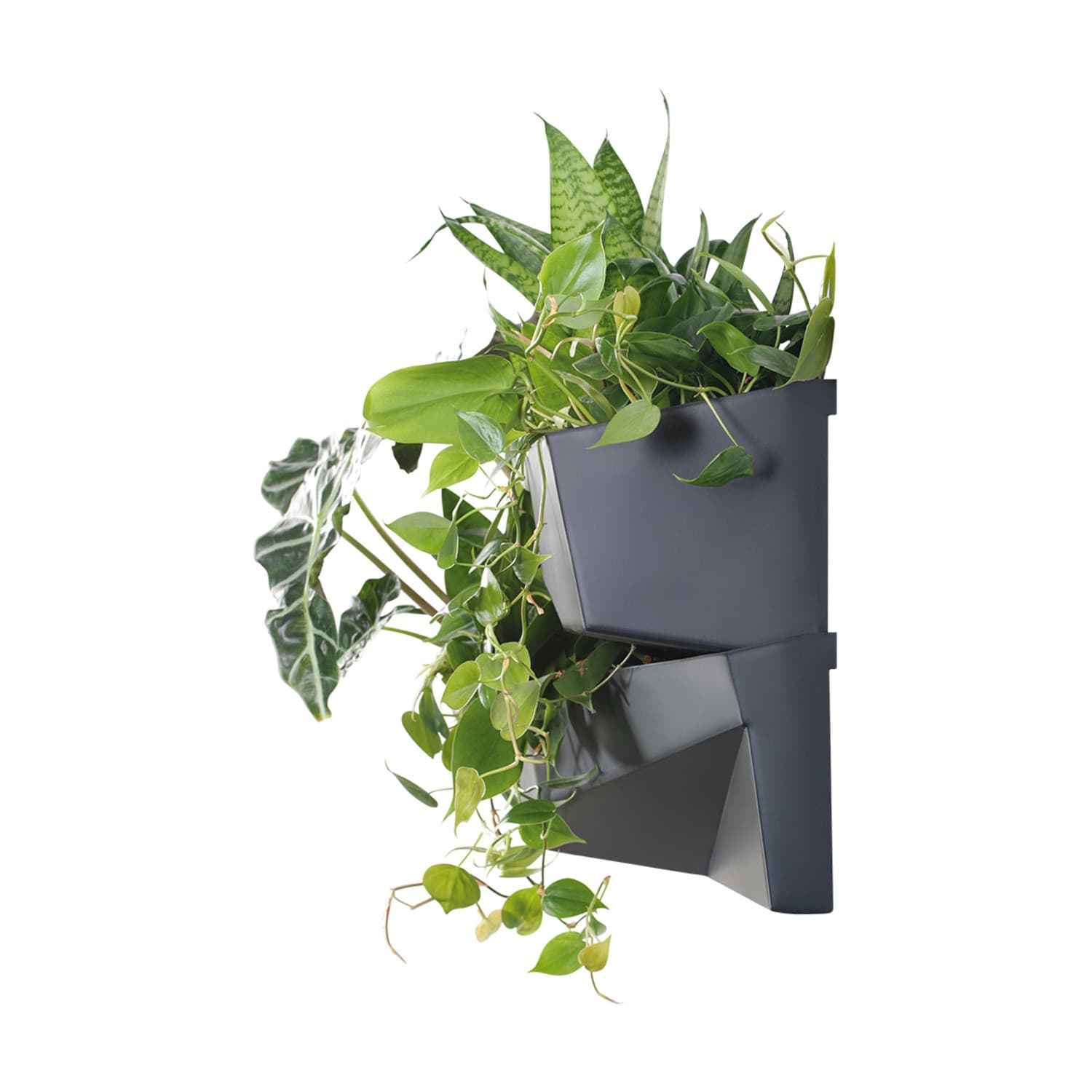 Prosperplast Cascade Garden Wall vertikalni vrt 5