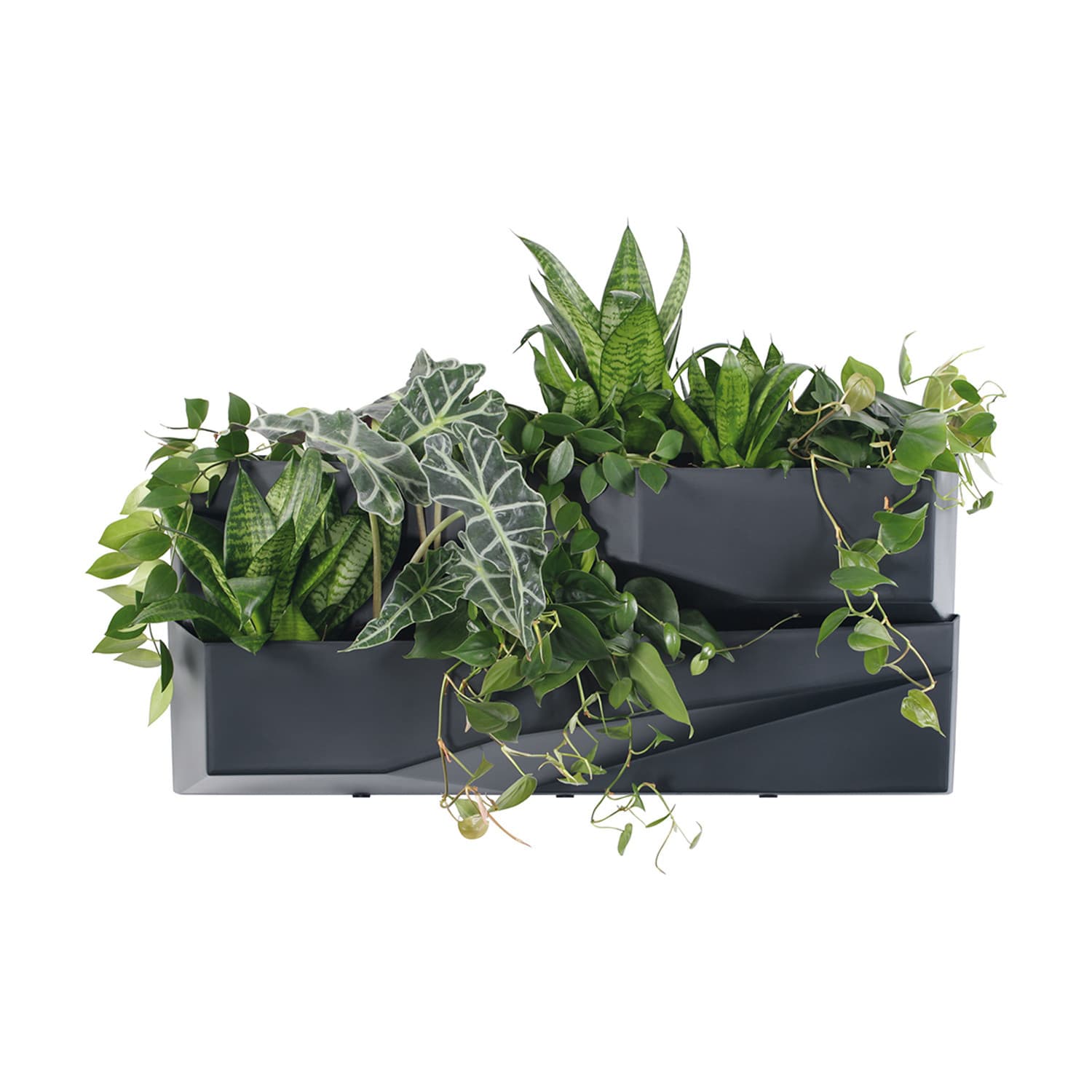 Prosperplast Cascade Garden Wall vertikalni vrt 6