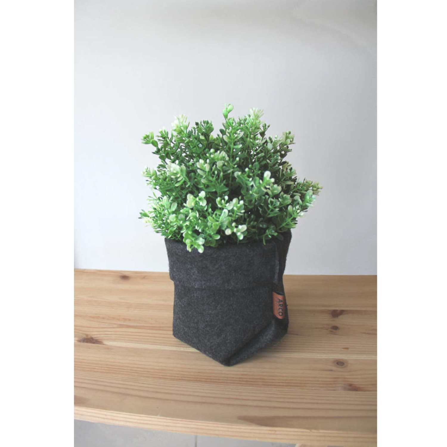 BERTONI EE, grafitna posoda za rože Simple M - 15 cm 2