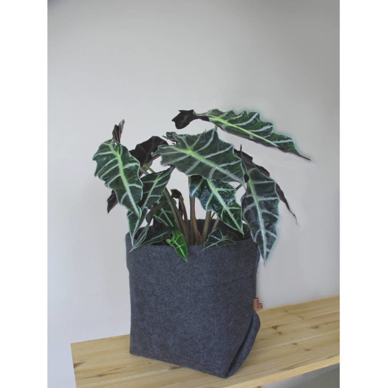 BERTONI EE, grafitna posoda za rože Simple XXL - 30 cm 2