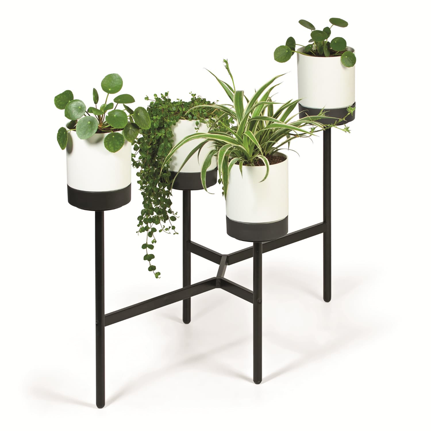Prosperplast BLOOMIE STAND stojalo za rože, belo 3
