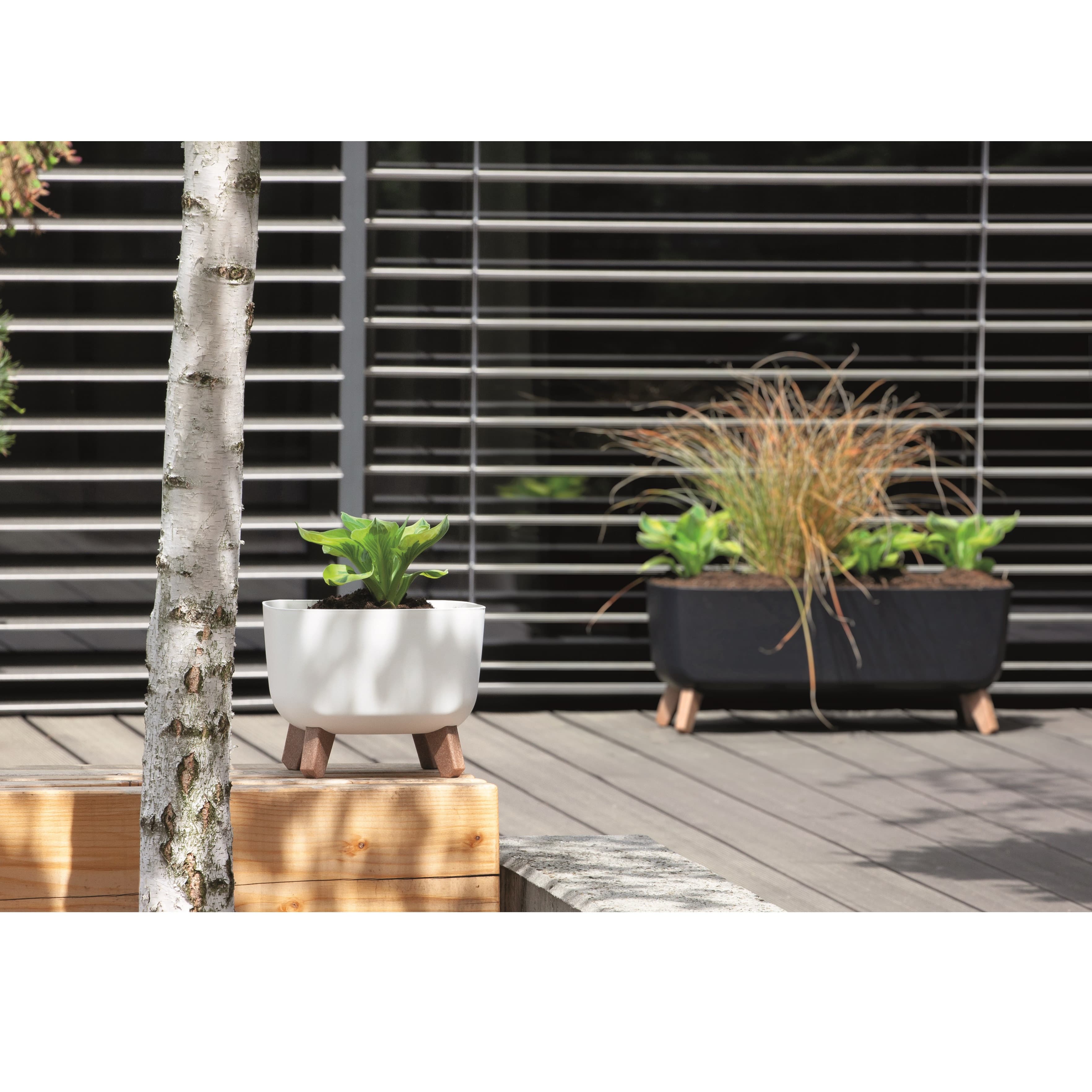 Donic' Gracia Square DGQL240, bela, 24x24x18.7 cm 2