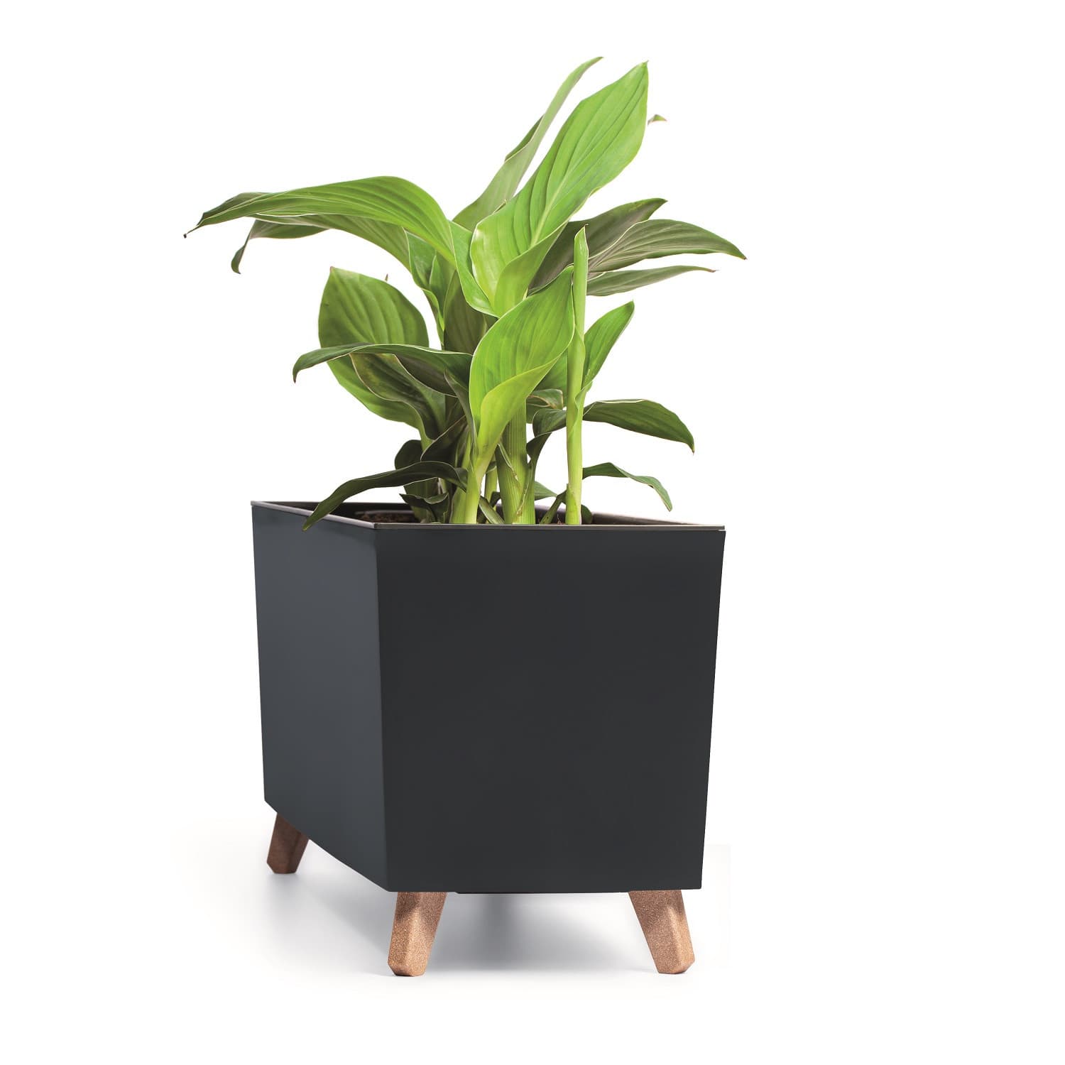 Dvigljiva balkonska korita URBI CASE N (77 cm) - antracit 4